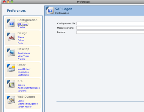 SAP logon set up