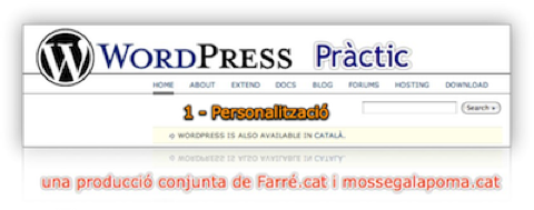 WP Pràctic 1 Personalització