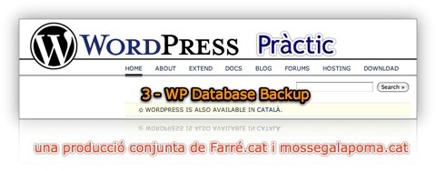 WP Pràctic 3 WP Database Backup