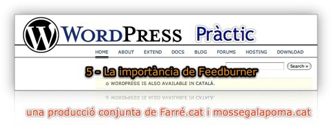 WordPress Practic 5 - La importància de FeedBurner