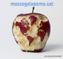 icona webclip mossegalapoma