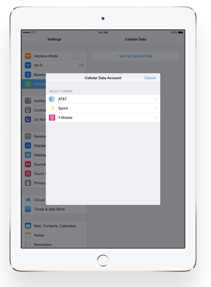 apple_sim