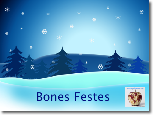 Bones Festes 2008