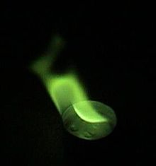 Bor
