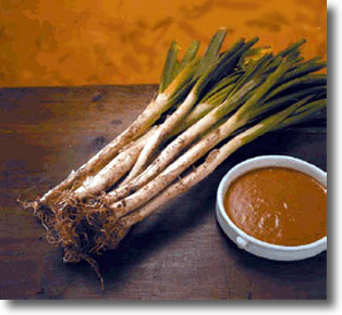 calçotada 2008 anàlisi