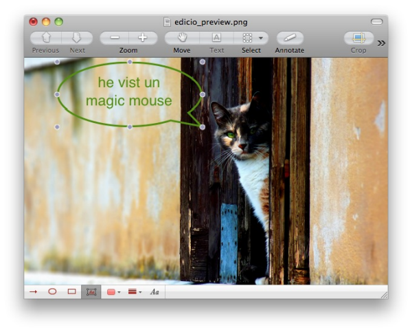 Editar amb Preview
