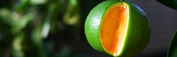 La Mandarina de Newton Podcast