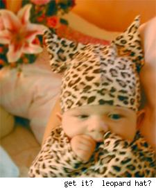 leopard guia