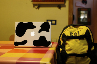 macbook cow 1