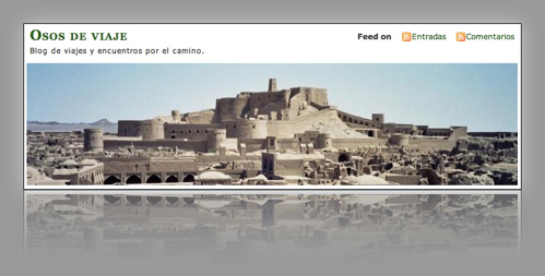 osos de viaje