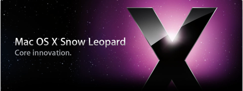 snow leopard