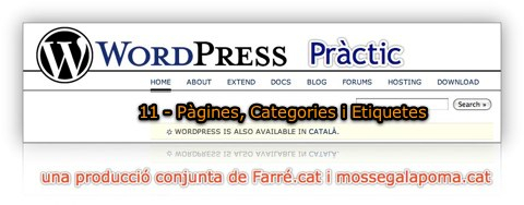 wodpress practic 11 - pàgines, categories i etiquetes