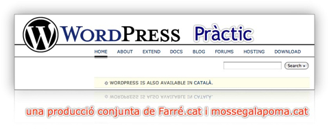 wordpress practic